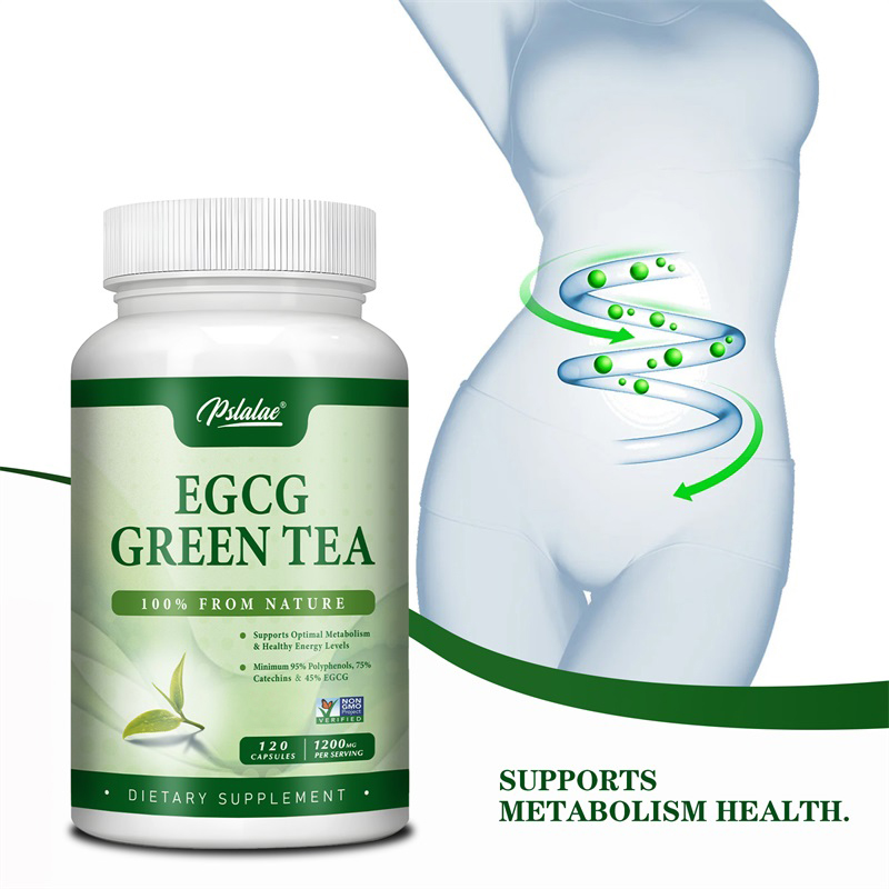 Green Tea Extract Fat - Ekstrak teh hijau EGCG-mempercepat metabolisme dan