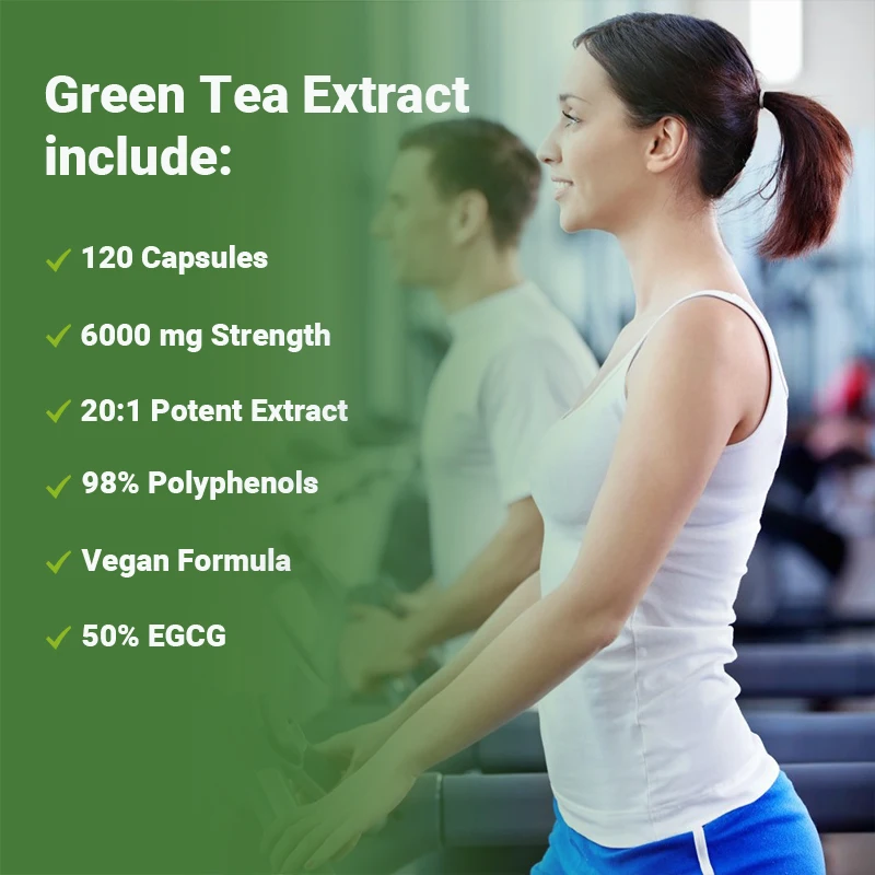 Kapsul Teh Hijau - Meningkatka - Green Tea Extract Fat ulasan dan harga