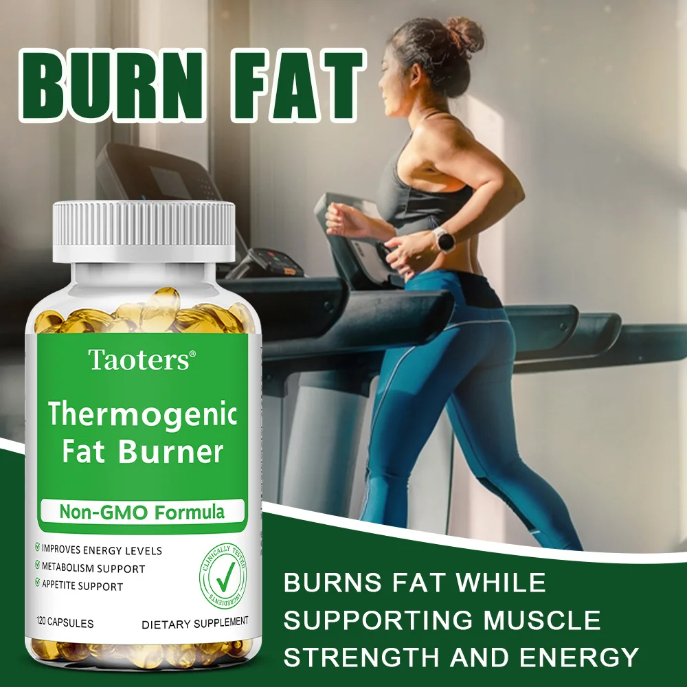 Ekstrak Teh Hijau - dengan Cuk - Green Tea Extract Fat ulasan dan harga