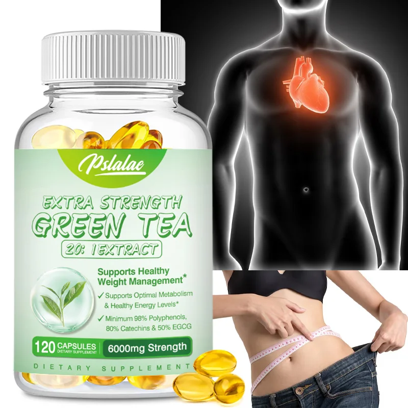 Kapsul Ekstrak Teh Hijau - Men - Green Tea Extract Fat ulasan dan harga