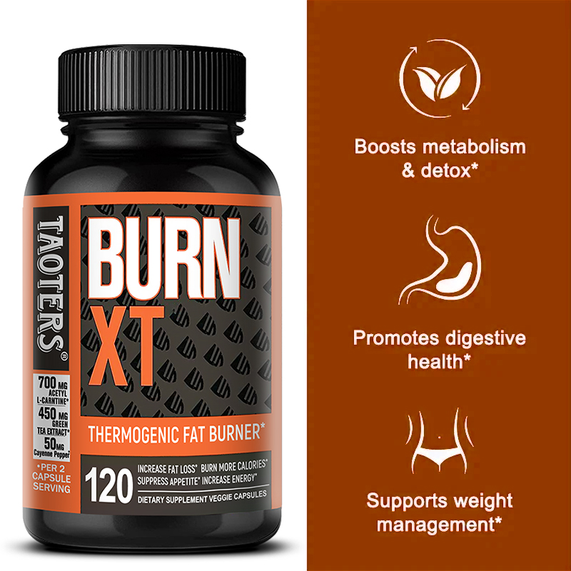 Suplemen Pembakar Lemak Burn-X - Green Tea Extract Fat ulasan dan harga