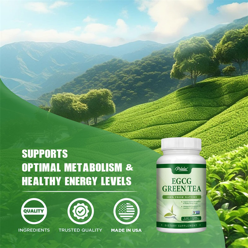 Ekstrak teh hijau EGCG-memperc - Green Tea Extract Fat ulasan dan harga