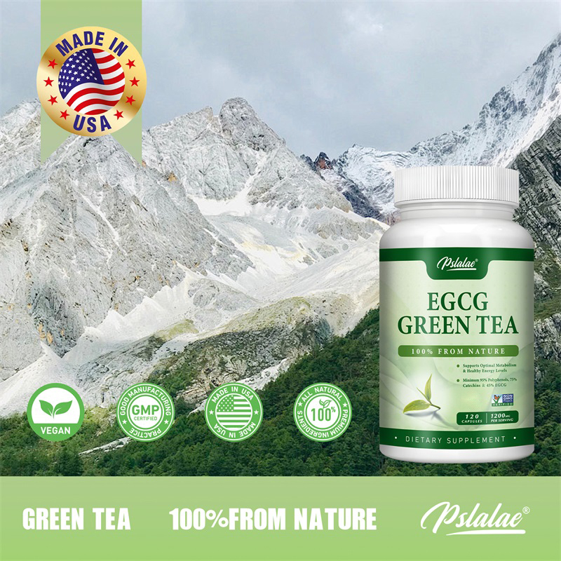 Ekstrak teh hijau EGCG-memperc - Green Tea Extract Fat ulasan dan harga