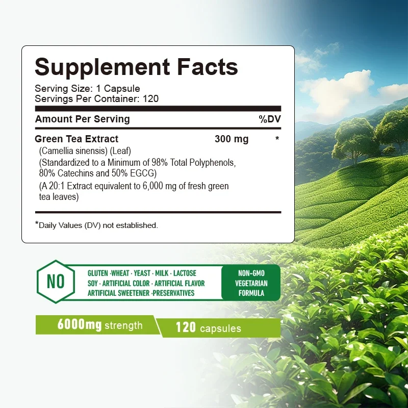 Kapsul Teh Hijau - Pembakar Le - Green Tea Extract Fat ulasan dan harga