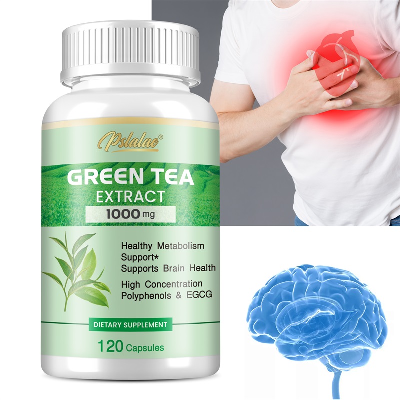Ekstrak Teh Hijau - dengan 98% - Green Tea Extract Fat ulasan dan harga