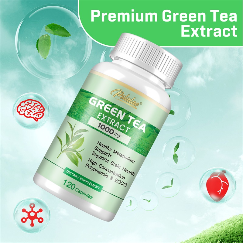 Ekstrak Teh Hijau - dengan 98% - Green Tea Extract Fat ulasan dan harga