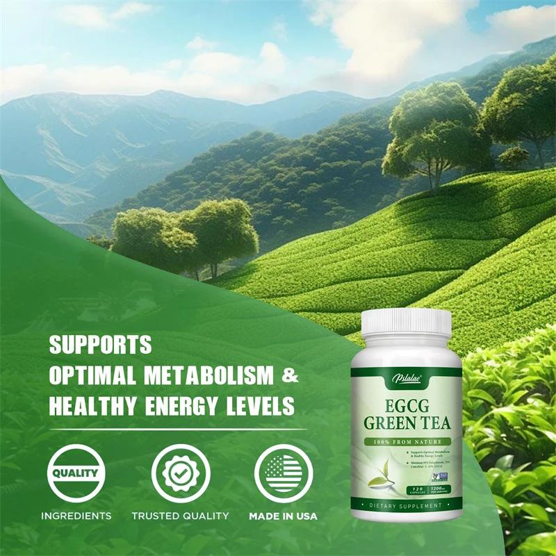 Ekstrak Teh Hijau EGCG - Menin - Green Tea Extract Fat ulasan dan harga